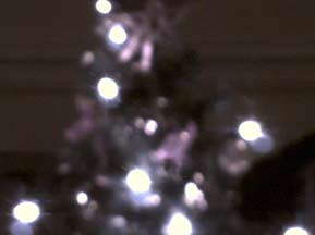 Christmas tree?