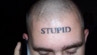 Stupid is
