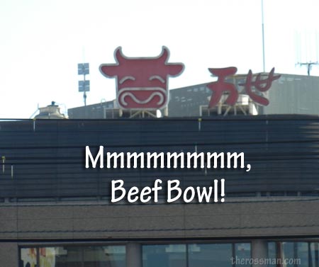 Beef Bowl!