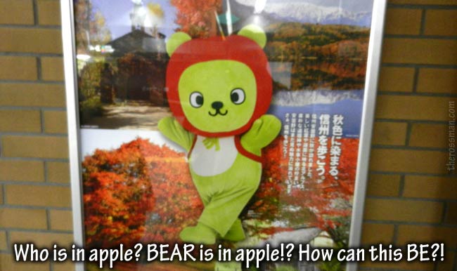 Bear in apple