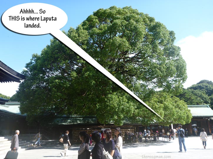 Big torii, big trees.