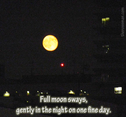 Full moon over Tokyo