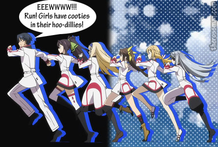 Anime Review, Rating, Rossmaning: Infinite Stratos (IS)